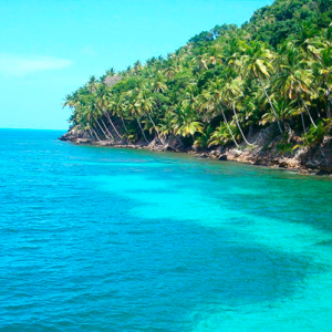 Santa Catalina to Boquete Shuttle