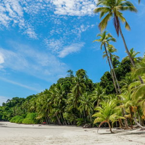 Santa Catalina to Bocas del Toro Shuttle